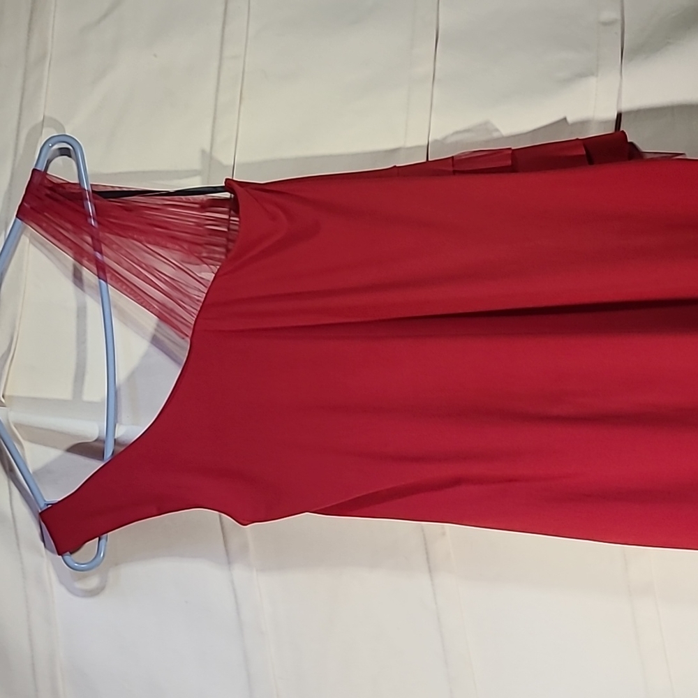 Ruby red size 12 dress - Picture 3 of 3